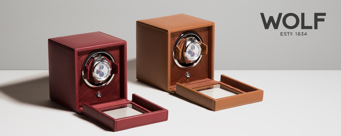WOLF watch winder display case