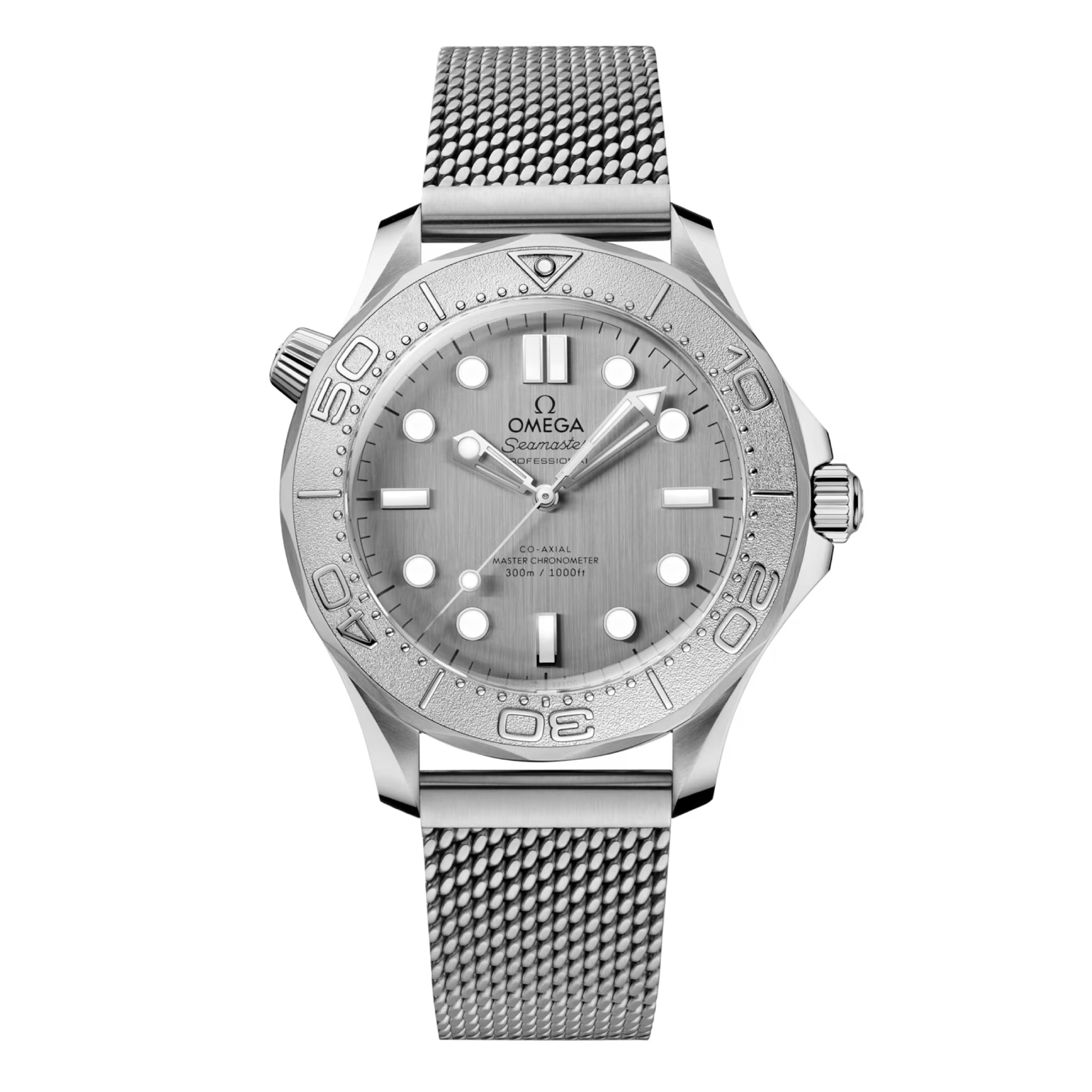 Omega Seamaster Diver 300m Watch, 42mm silver Dial, 210.30.42.20.06.002