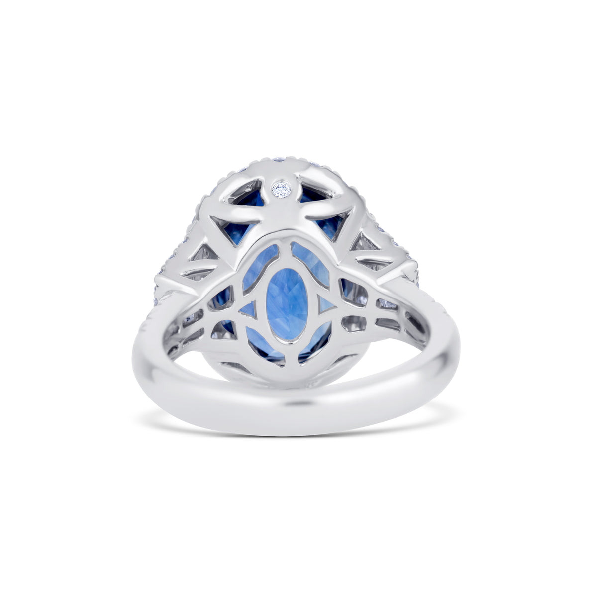Platinum 12.73CT Oval Sri Lanka Sapphire and Diamond Three Stone Halo Ring