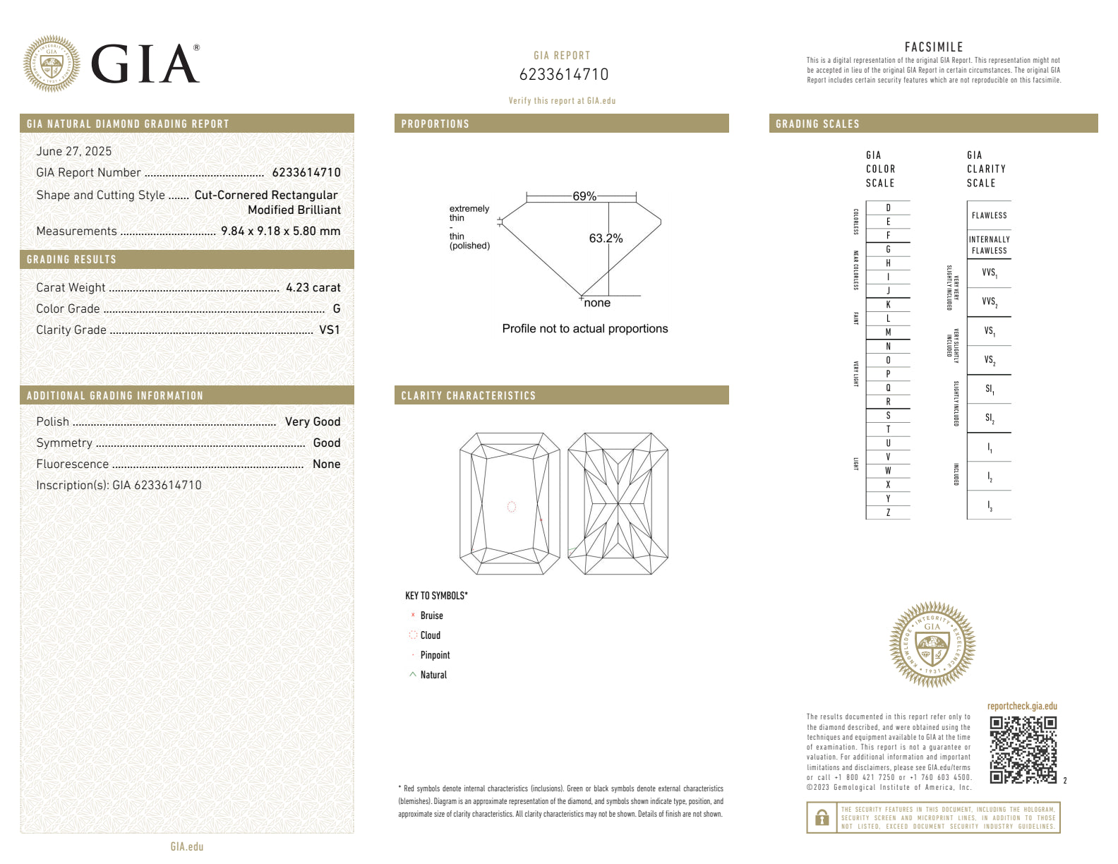 18K White Gold Radiant Cut Diamond With Halo And Side Shield Diamond Custom Engagement Ring